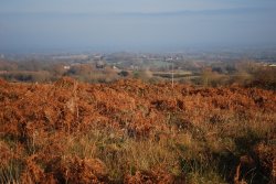 Castlemorton Common Wallpaper