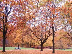 Green Park, Greater London