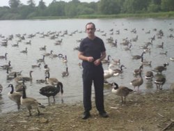 Hornsea Mere Wallpaper