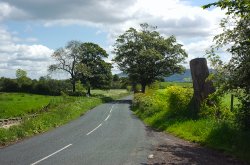 Quiet country lane near Waddington. Wallpaper
