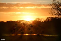 Stour Valley Winter, Shillingstone.