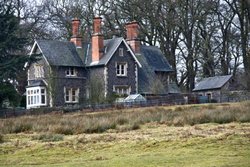 House in the Park Wallpaper