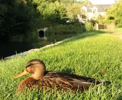 Take it easy Wallpaper