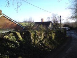 Duck Street Wallpaper