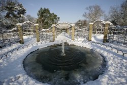 Winter wonderland 2009 Wallpaper