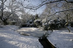 Frozen pond Wallpaper