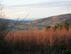 Luxborough area Wallpaper