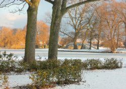 East Park Hull 3-1-10 016 Wallpaper