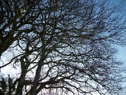 Luxborough area Wallpaper