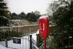 Dulwich park 2010 Wallpaper