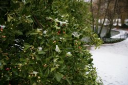 In the red Wallpaper