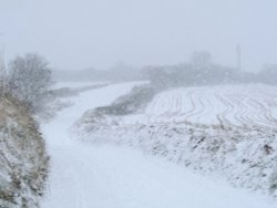 Annual snow day in Exeter 2 Wallpaper