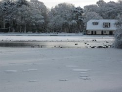 Taylor Park snow Wallpaper