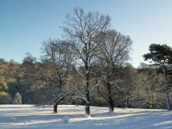 Bishops Park, Bishop Auckland, Durham 6th Jan 2010 Wallpaper