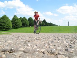 Blenheim grounds Wallpaper