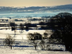 Winters walk Wallpaper