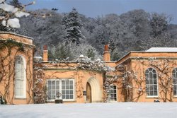 Killerton House Wallpaper