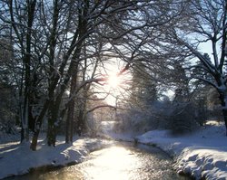Bishops Park, Bishop Auckland, Durham 7th Jan 2010 Wallpaper