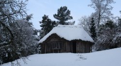 The Bear House Wallpaper