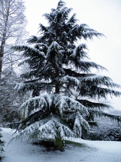 Eastcote House gardens, Eastcote Village