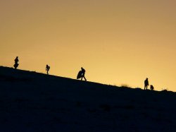 Sledgers on Old John Hill, Bradgate Park Wallpaper