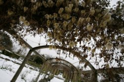 Snowy Spanish garden Wallpaper