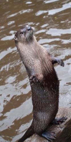 Anyone seen my lunch?