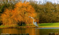 Flaming in Worcester Wallpaper