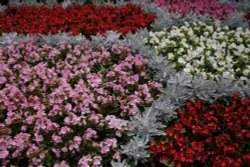 Amazing colours Wallpaper