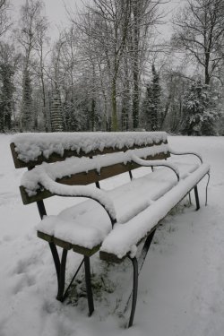 Another bench!