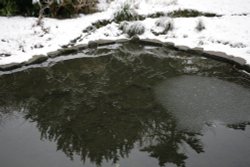 Reflections Wallpaper