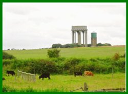 Southwold Common Wallpaper