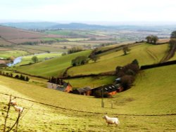 Farm Exe Valley