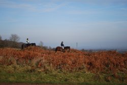 Horse riding at Castlemorton Common