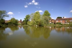 Village pond Wallpaper