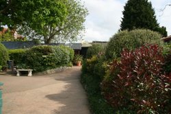 Colchester Zoo Wallpaper