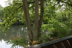 Colchester Zoo Wallpaper