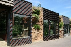 Colchester Zoo Wallpaper