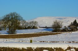 Parlick Hill Wallpaper