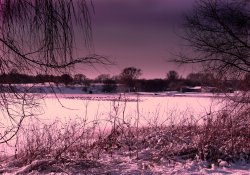 Snowy Dawn Wallpaper