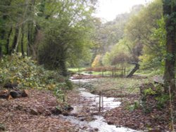 The water meadow looking back towards the entrance. Wallpaper