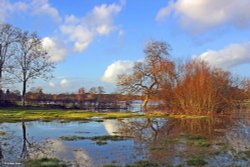 Stour Valley Winter, Shillingstone.