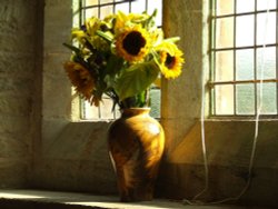 Sunflowers in Parracombe Church Wallpaper