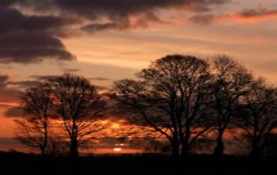 Cotswold sunrise Wallpaper