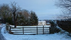 The White House Wallpaper