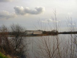 A view taken at Attenborough Nature Resreve