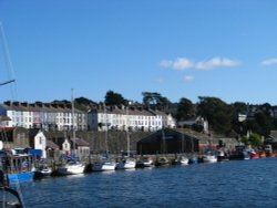 The Harbour Wallpaper