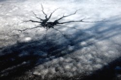 Ice on Jubilee Lake, Steeple Claydon, Bucks Wallpaper