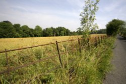 Kent country lane, Wallpaper