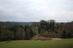 View from the top of the hill over the Arboretum Wallpaper